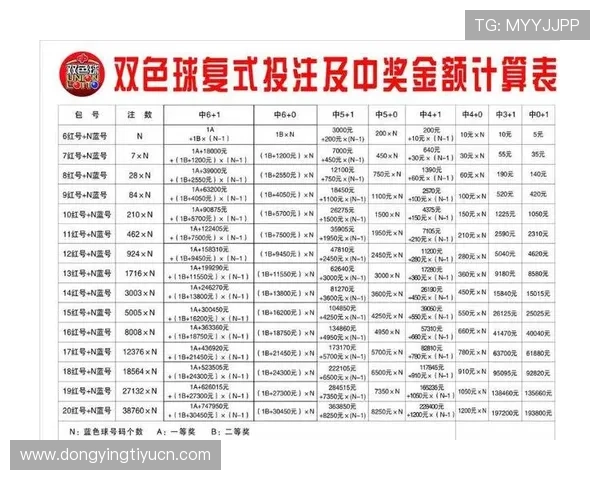 双色球胆拖投注技巧与中奖金额对照表完整介绍助你科学规划投注策略